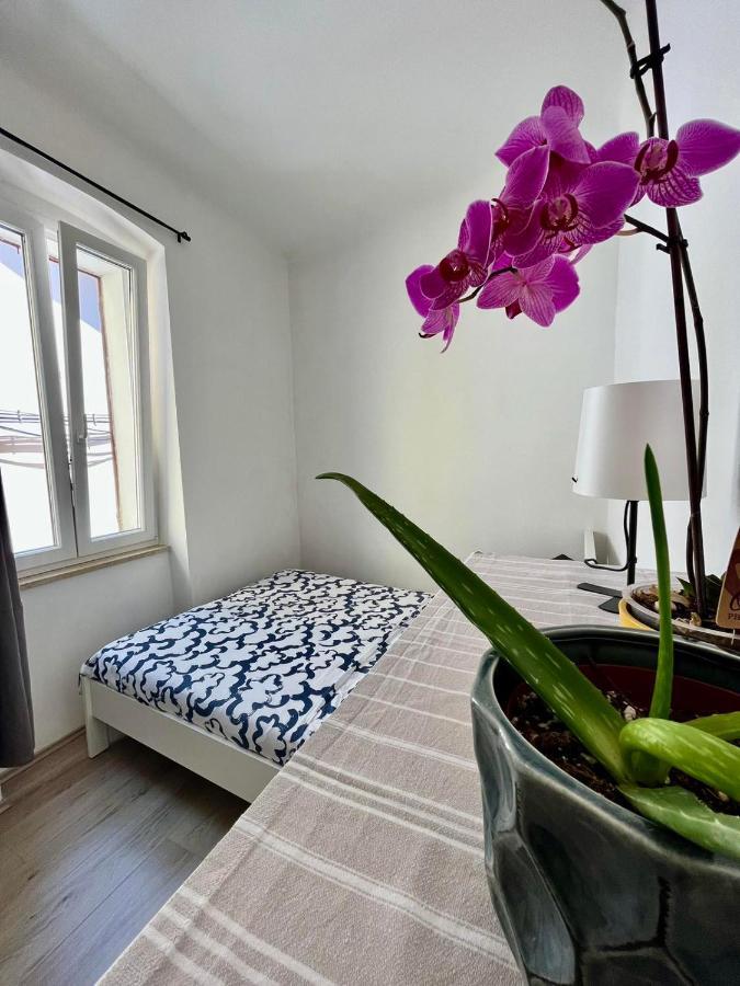 Appartement Juric *